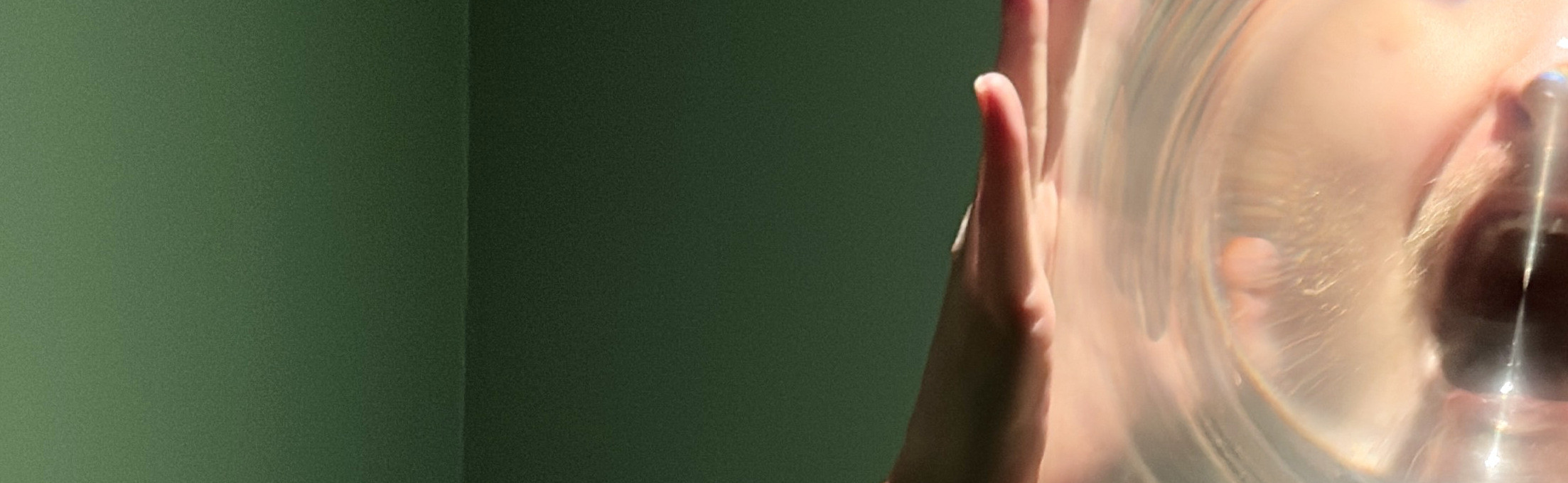 Fresnel Lens Banner2.Jpg