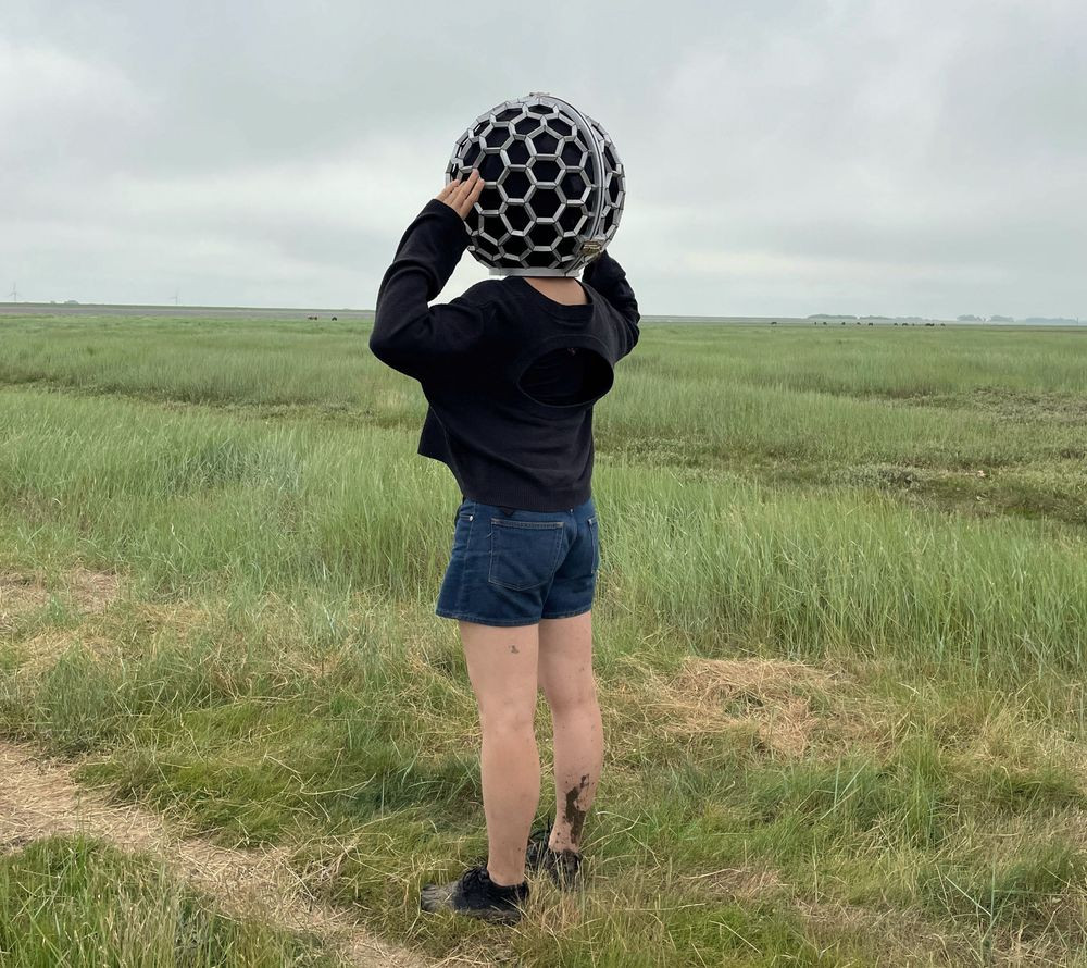 Large Windshield 4 Natalia Dominguez Rangel 259dac65e6