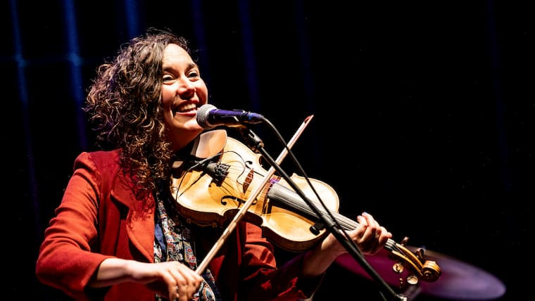 Tivolivredenburg Viool In De Nacht